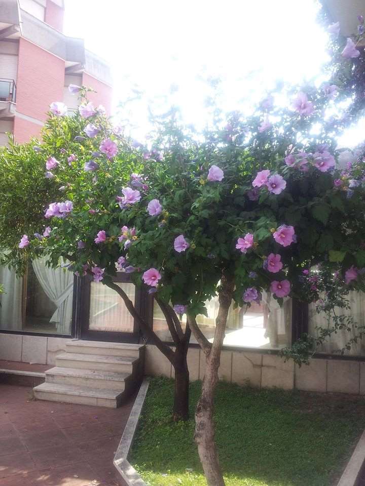 Hotel De La Ville Central Latina Facilități foto