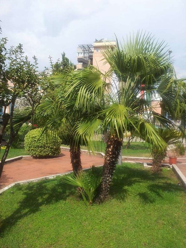 Hotel De La Ville Central Latina Facilități foto
